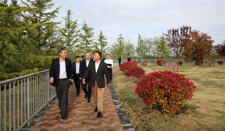 202005281590630577107755.jpg YS5A0003.JPG