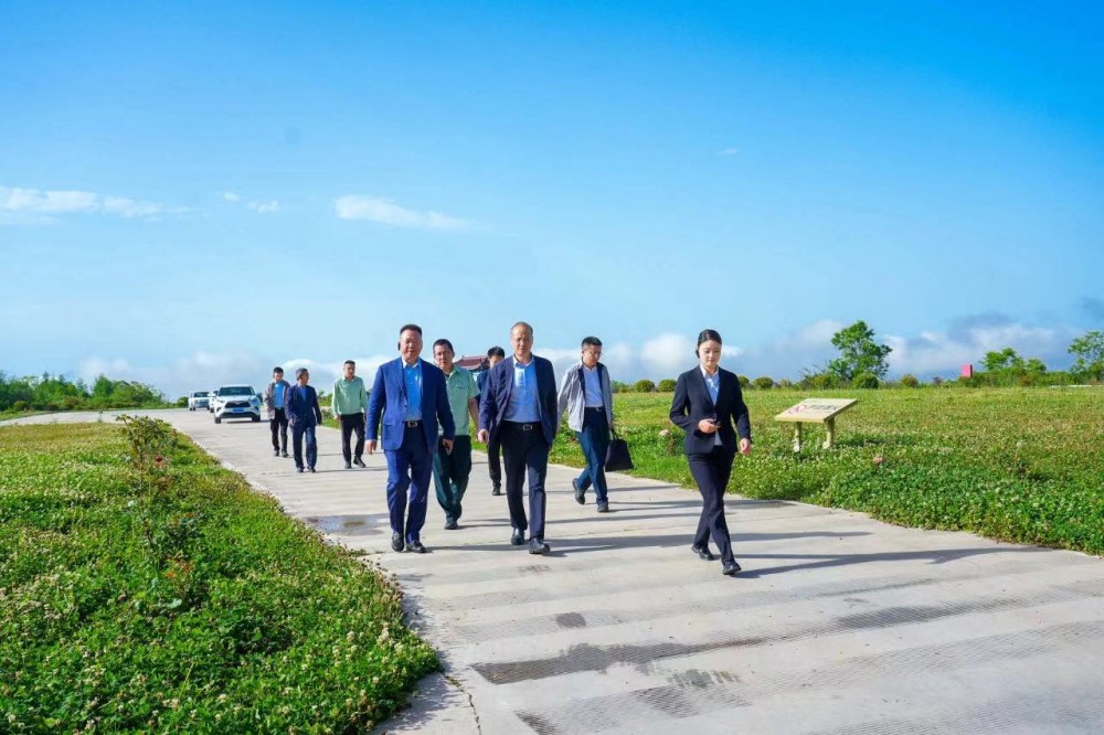 202405311717139583570313.jpg 8_副本.jpg